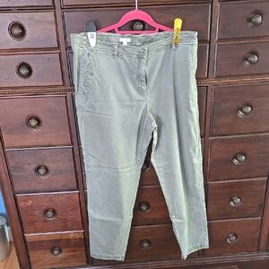 J.Jill Pants Light Olive Green Size 18